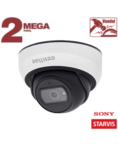 SV2005DB (3,6 мм). Видеокамера IP купольная. Beward в Бердске