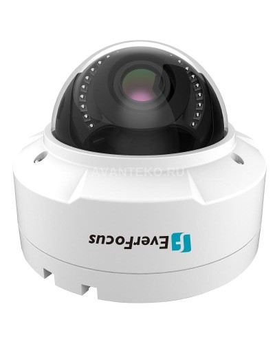EHN-1250. Видеокамера IP купольная. EverFocus в Бердске