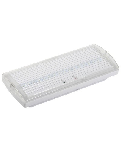 Светильник аварийный ДПА 5030-1 1ч IP20 LIGHTING (LDPA0-5030-1H-K01). Светильник аварийный постоянного действия. IEK в Бердске