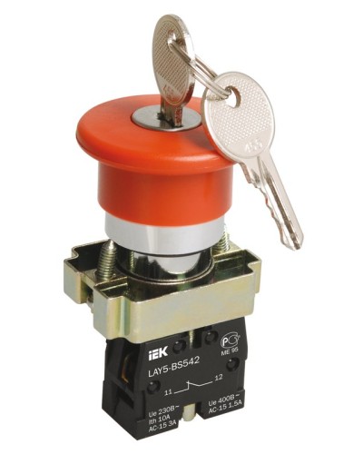 Кнопка LAY5-BS142 Грибок с ключом D22мм (BBG50-LAY5-K04). Кнопка. IEK в Бердске