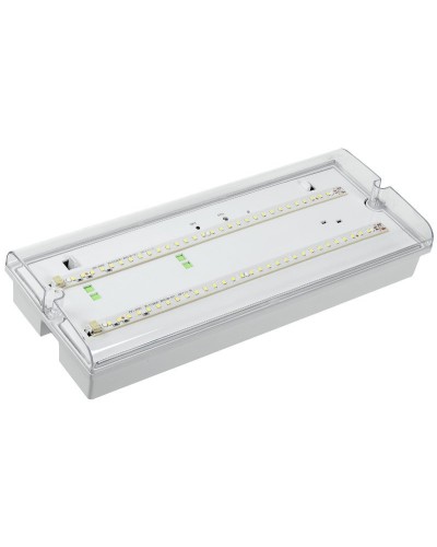Светильник аварийный ДПА 5042-3 3ч IP65 LIGHTING (LDPA0-5042-3-65-K01). Светильник аварийный универсальный. IEK в Бердске