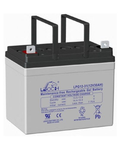 LEOCH LPG 12-31. Аккумулятор герметичный свинцово-кислотный. LEOCH в Бердске