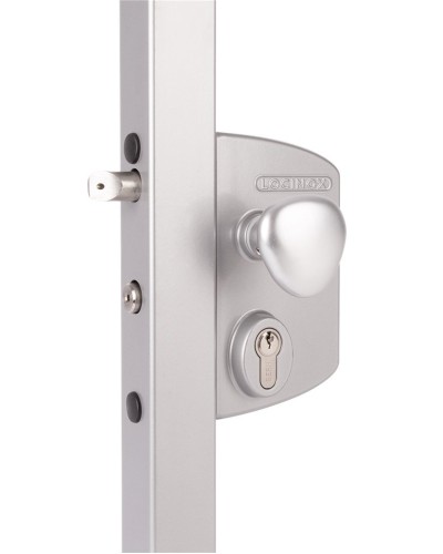 LIKQ4040 U2L (цвет: RAL 9005, черный). Замок электромеханический для калиток. Locinox в Бердске