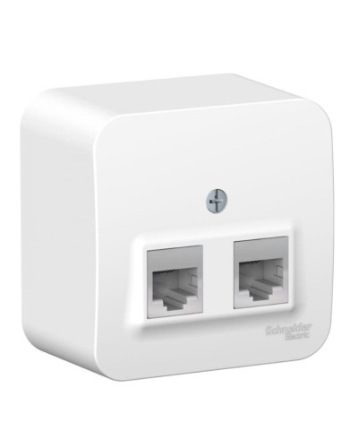 BLANCA розетка RJ11+RJ45, 2-местная, кат. 5Е, открытой установки, белый (BLNIA045111). Розетка компьютерная + телефонная с изолированной пластиной. Systeme Electric в Бердске