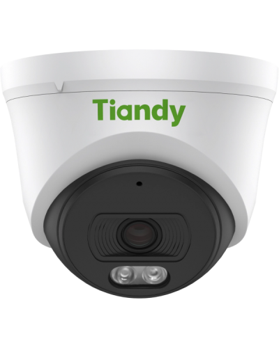 TC-C34XN I3/E/Y/2.8/V5.0. Видеокамера IP купольная. Tiandy в Бердске