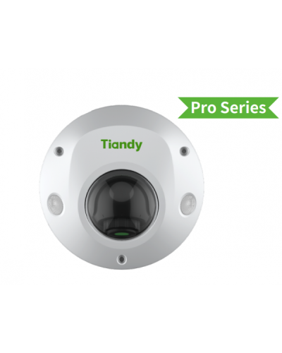 TC-C35PS I3/E/Y/M/H/2.8/V4.2. Видеокамера IP купольная. Tiandy в Бердске
