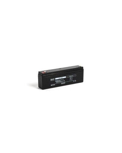 SKAT SB 12022 (2539). Аккумулятор герметичный свинцово-кислотный. Бастион в Бердске