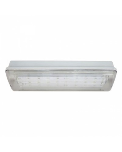 SL-223-30LED1.8 исп.1 IP54. Светильник аварийного освещения. ИП Раченков А.В. в Бердске
