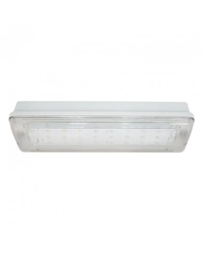 SL-223-30LED1.8 исп. 1, IP65. Светильник аварийного освещения. ИП Раченков А.В. в Бердске