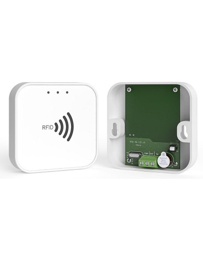 RFID-TM. Считыватель RFID. Ритм в Бердске