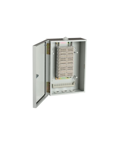 ШРН-В/100-Р (120908-00122). Шкаф ШРН-В/100-Р, плинт ПВТ-10Р-5е. ССД (Связьстройдеталь) в Бердске